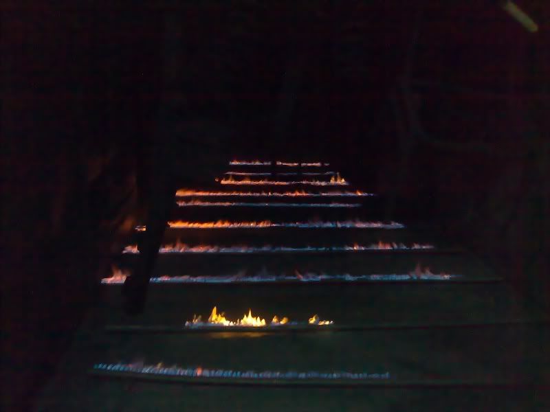 26022009341.jpg