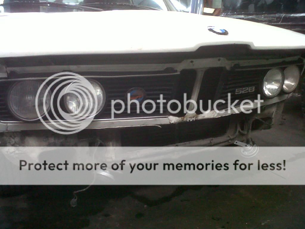 IMG00428-20110415-1552.jpg