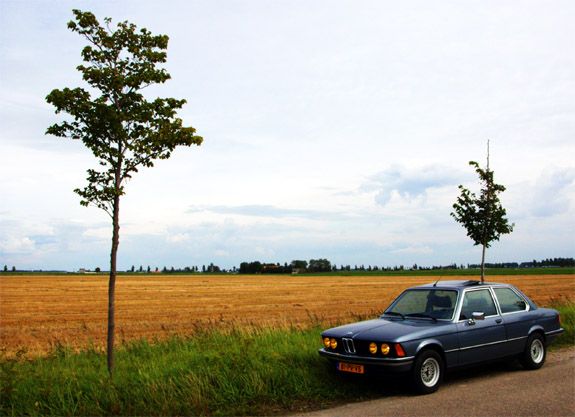 320021.jpg
