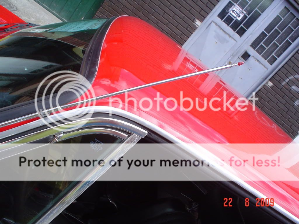 DSC06455.jpg