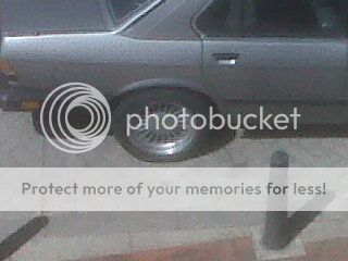 IMG-20130111-00410.jpg