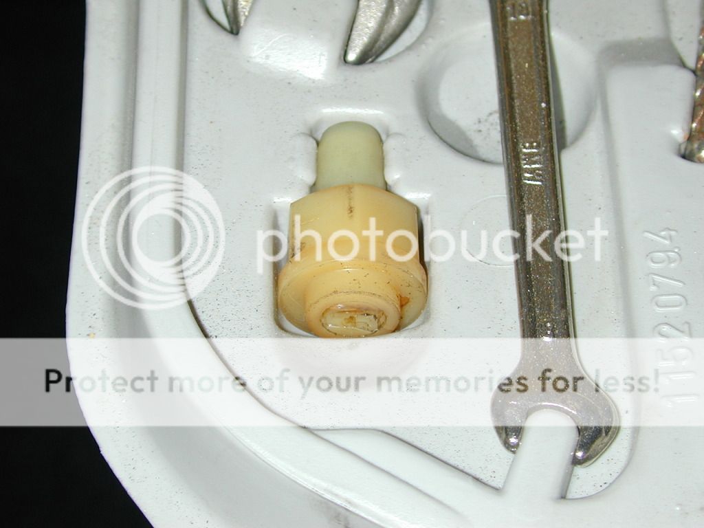 Picture_306.jpg