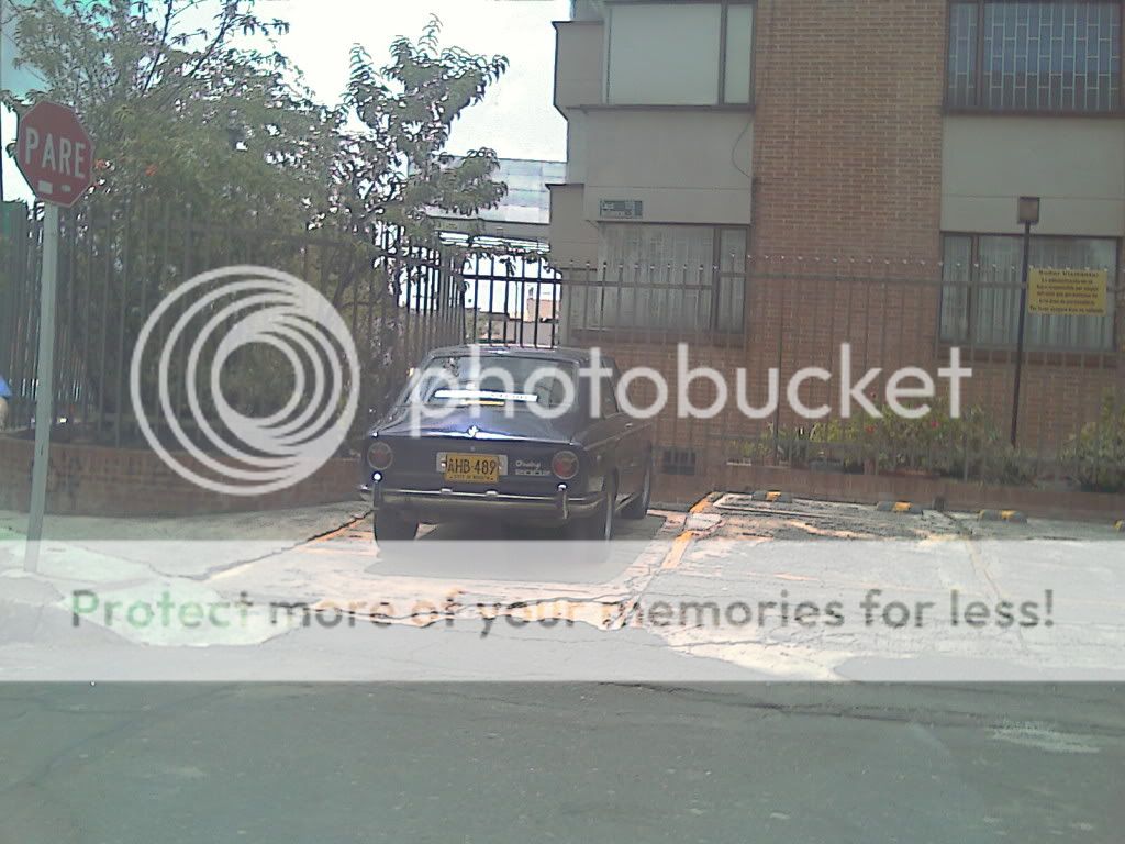 IMAG0550.jpg