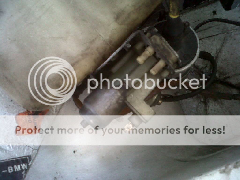 IMG00422-20110415-1550.jpg