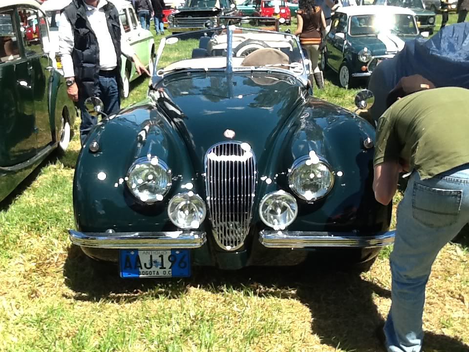 IMG_1064_zps7d815974.jpg