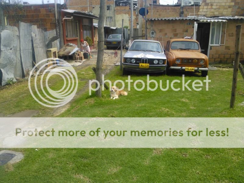WP_001909_zps0161de0c.jpg