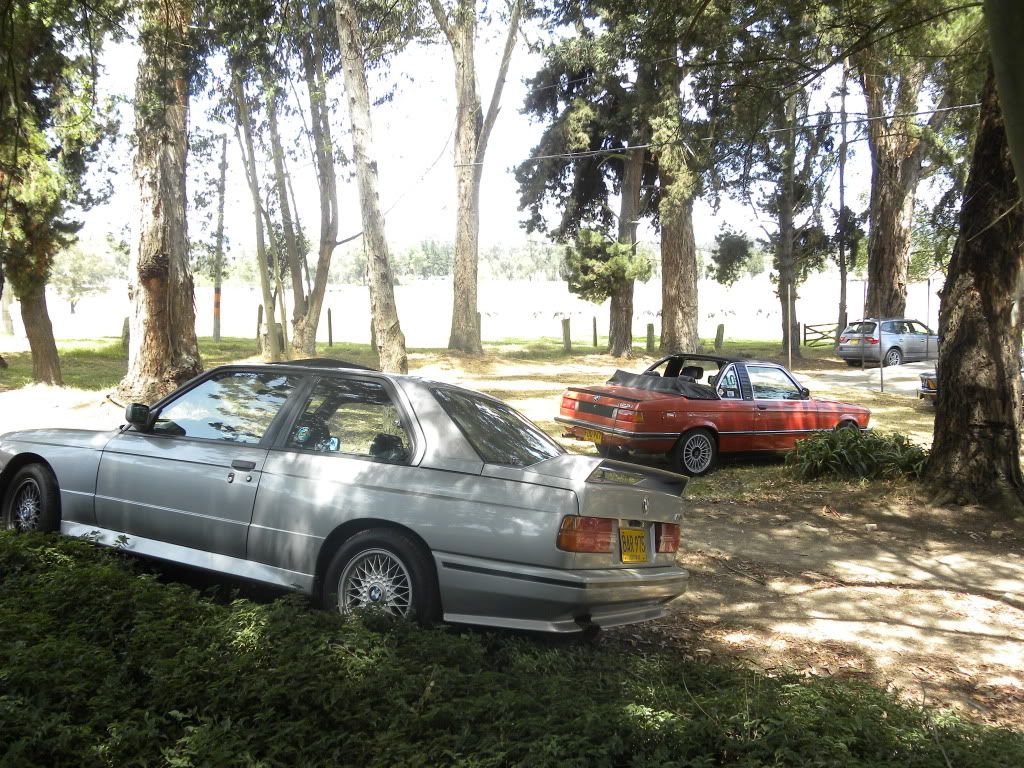 DSCN4482.jpg
