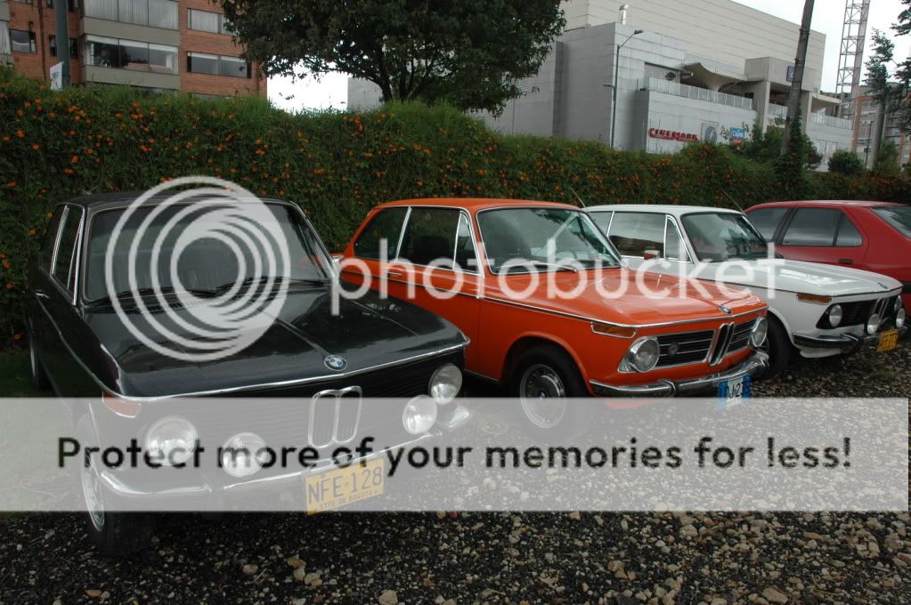 DSC_0868.jpg