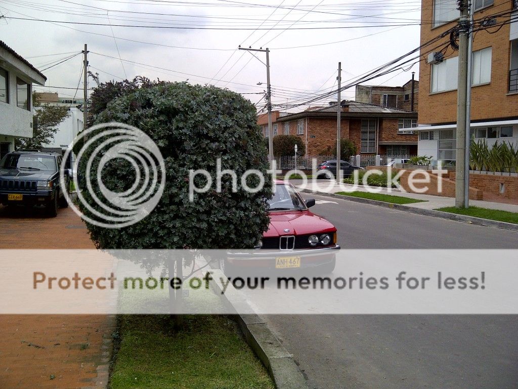 frentee2124.jpg