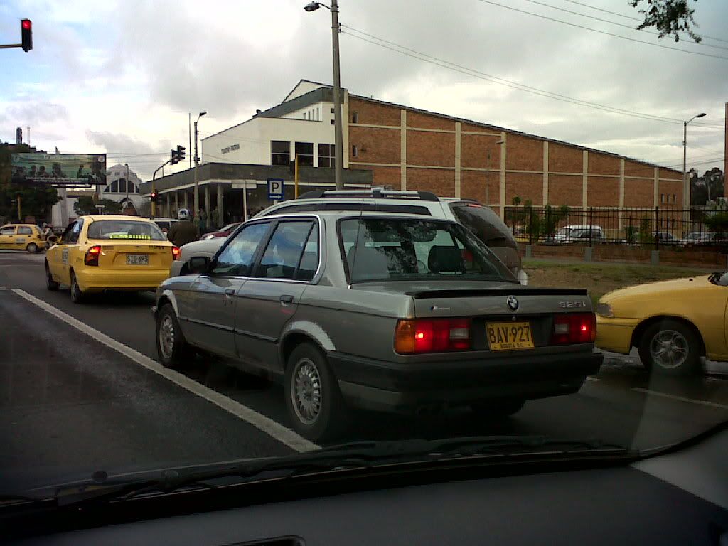 BAV927.jpg