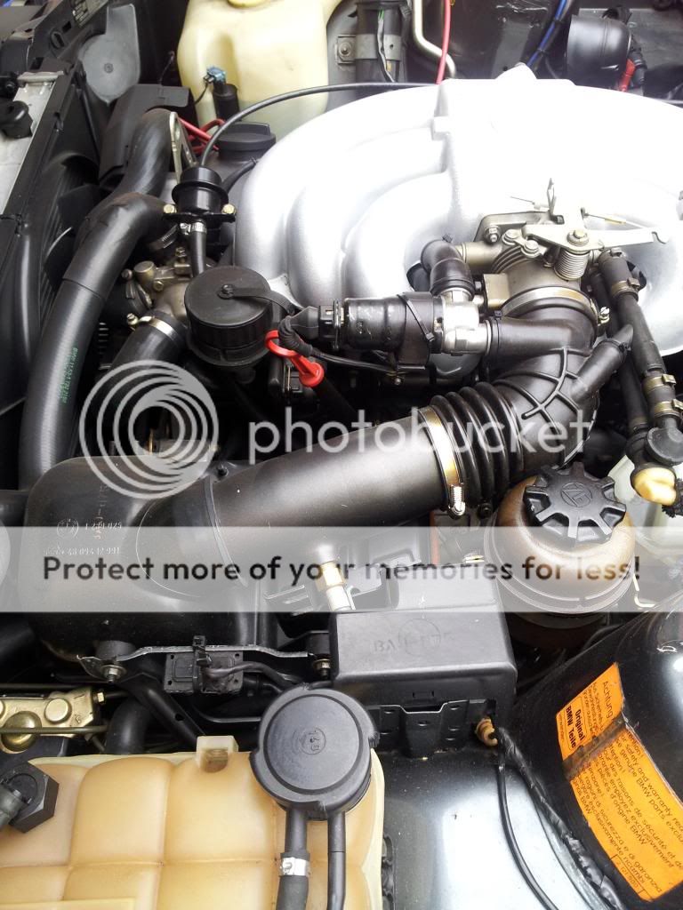 20120804_113133_zpsbe642c1a.jpg