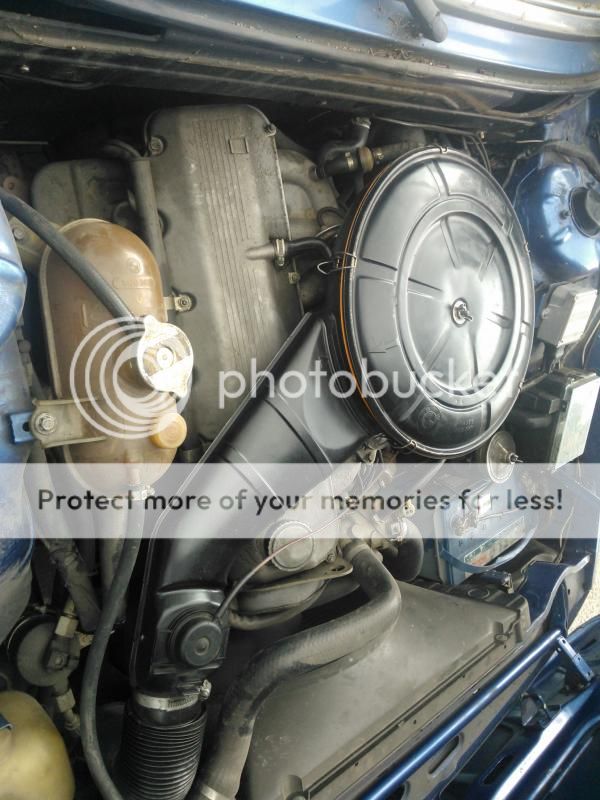 WP_000877_zpsff723a67.jpg