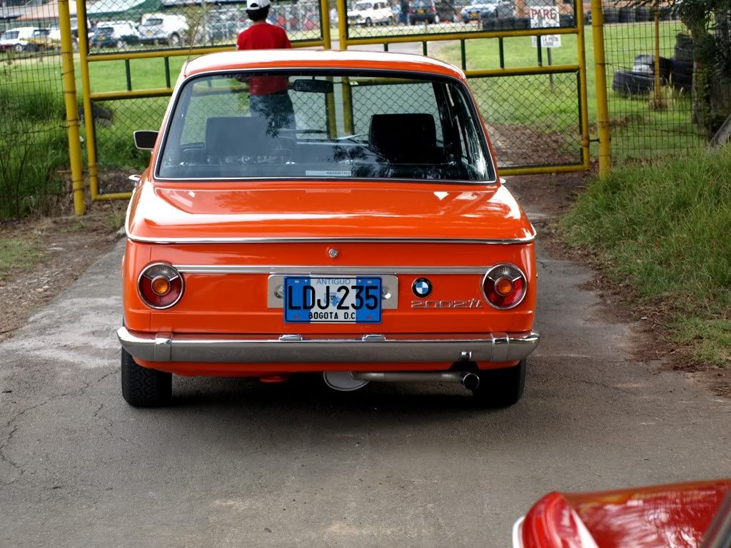 P3159215.jpg