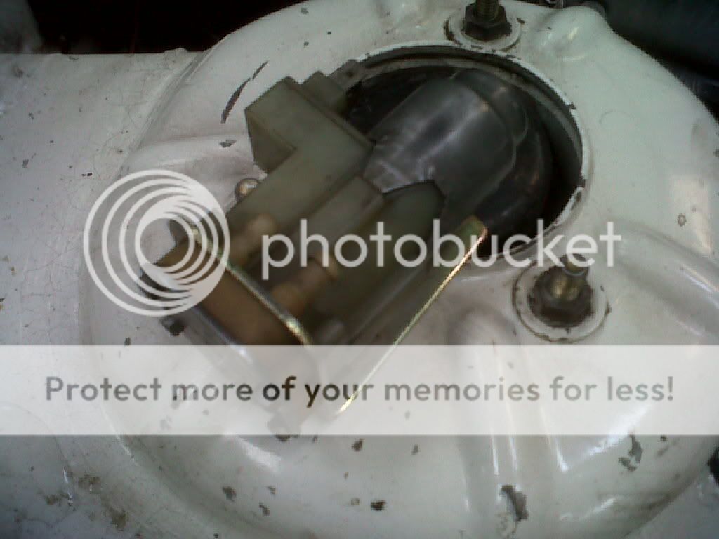 IMG00427-20110415-1551.jpg