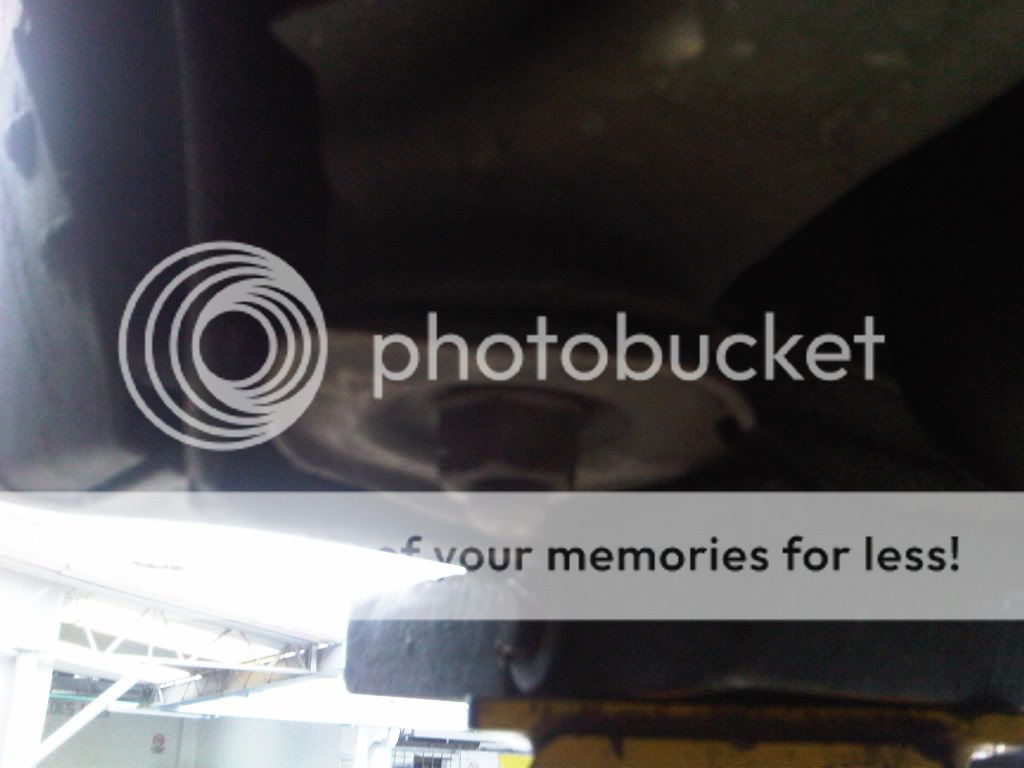 IMG00267-20100505-1135.jpg