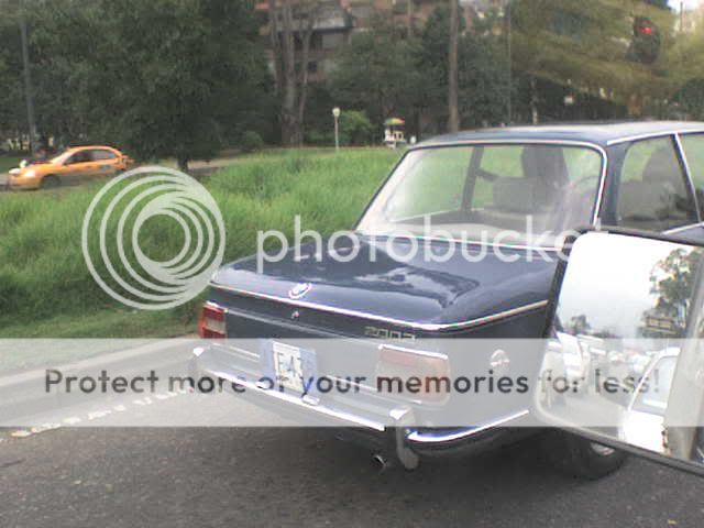 DSC02506.jpg