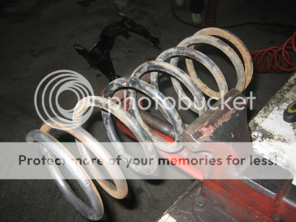 IMG_0001er1.jpg