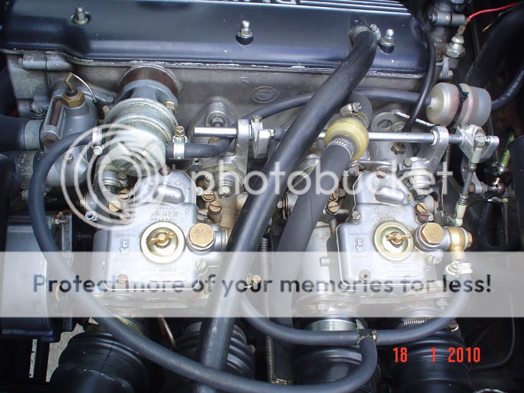 DSC06990.jpg