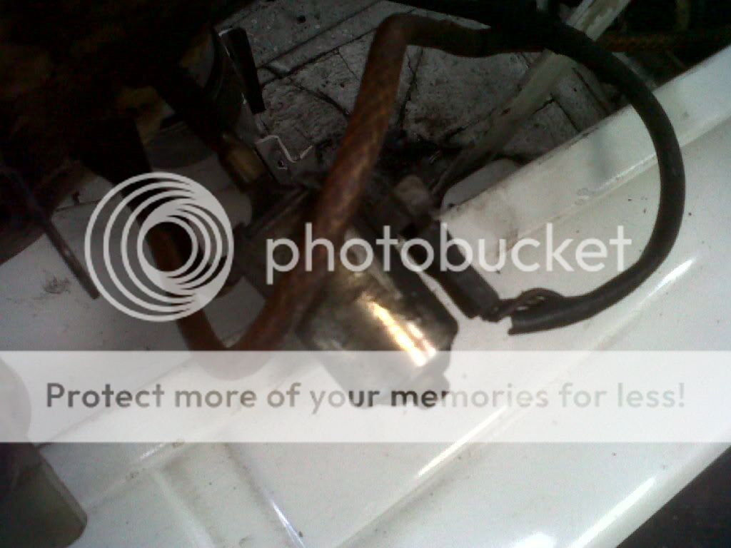 IMG00424-20110415-1551.jpg