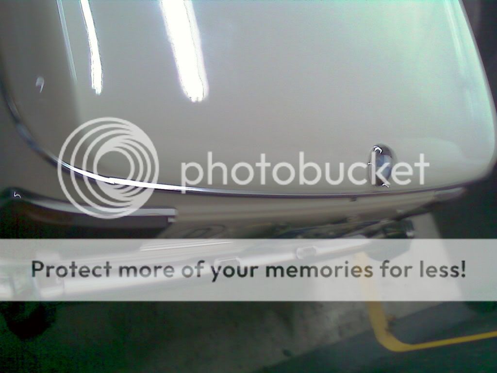 IMAG0302.jpg