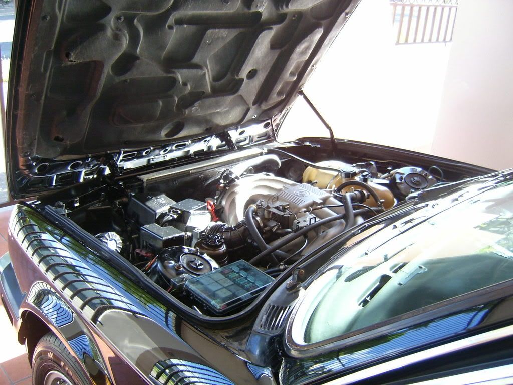E30Engine.jpg
