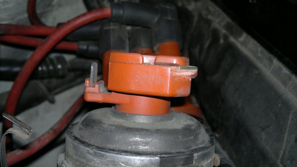2012-01-03-008.jpg