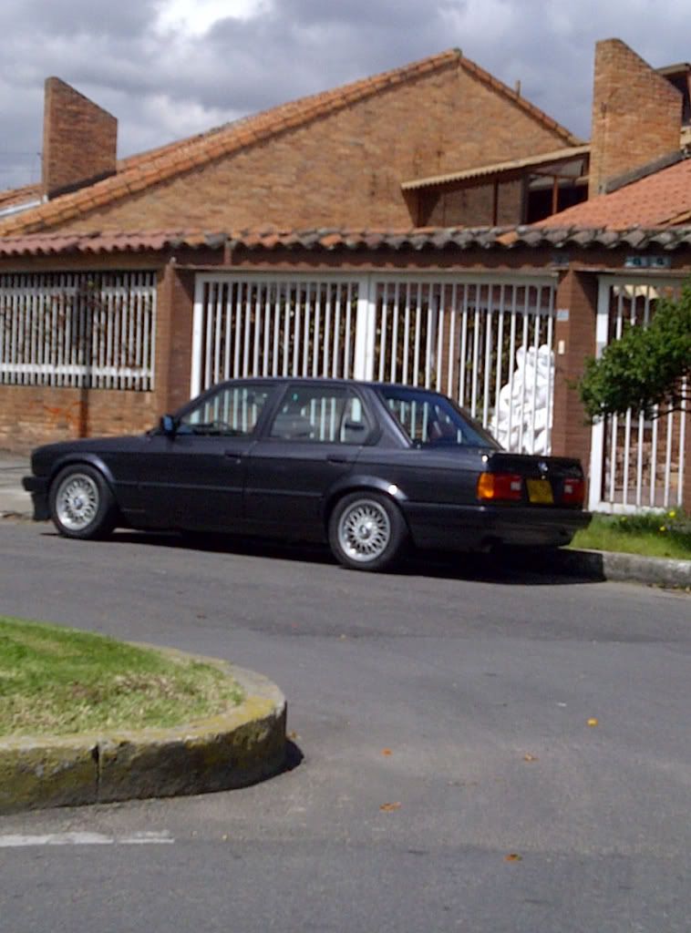 BAL714.jpg