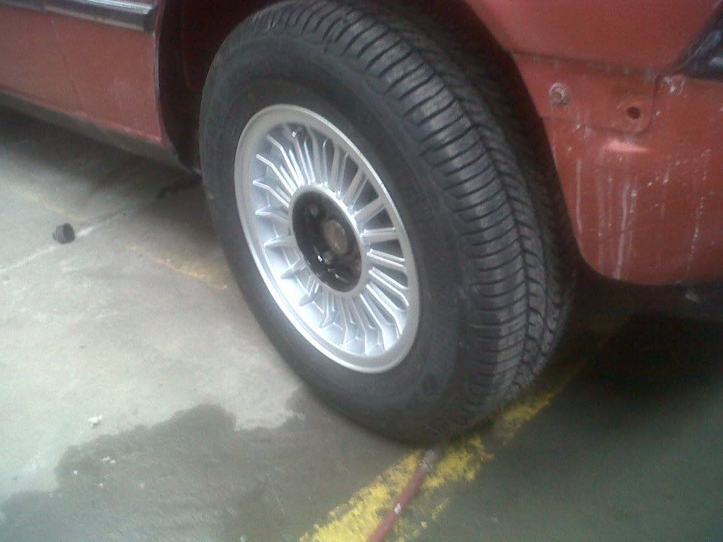 IMG00036-20101124-1322.jpg
