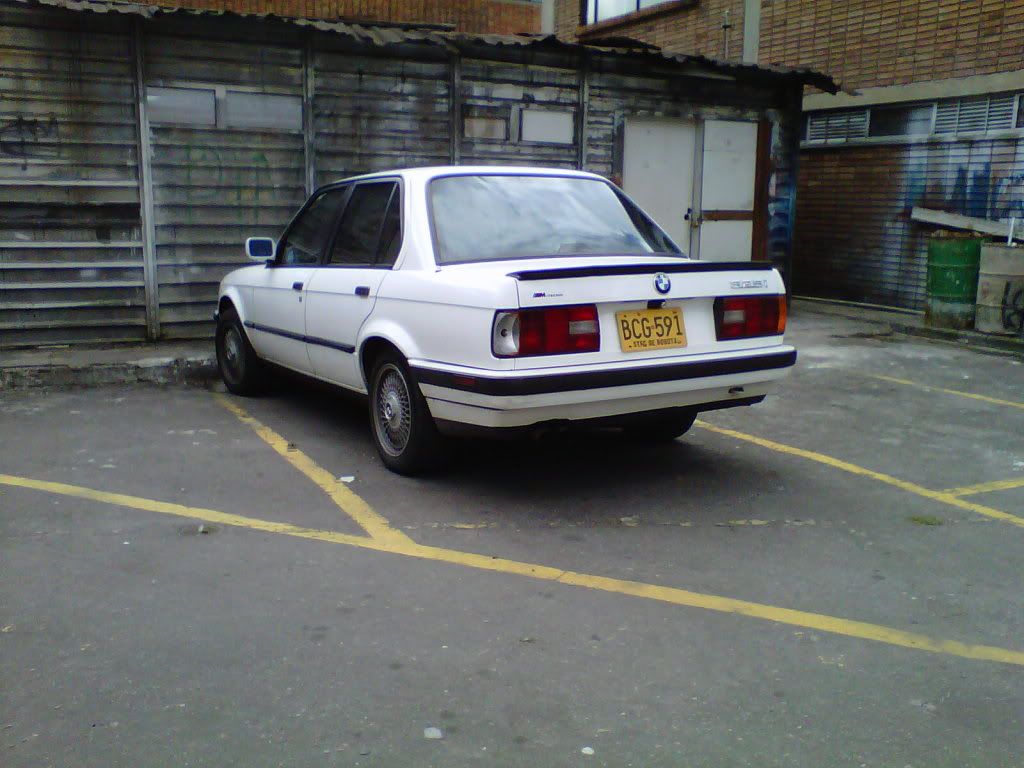 80081c5a.jpg