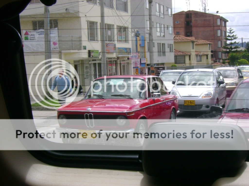 DSC00149.jpg