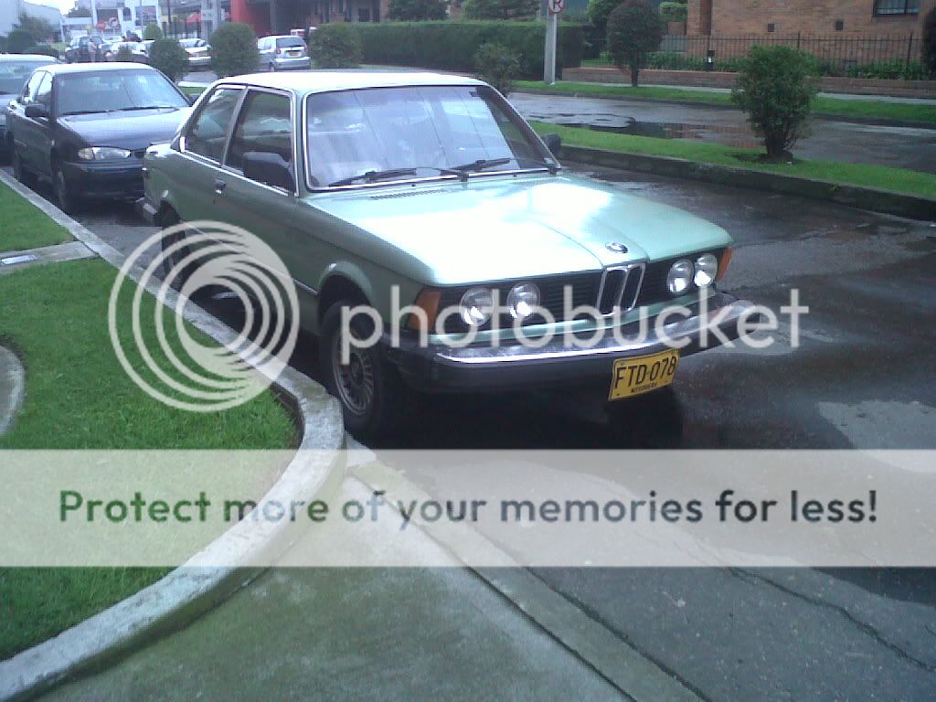 IMG01126-20111120-1450.jpg