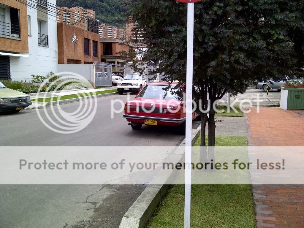 IMG-20120413-00623.jpg