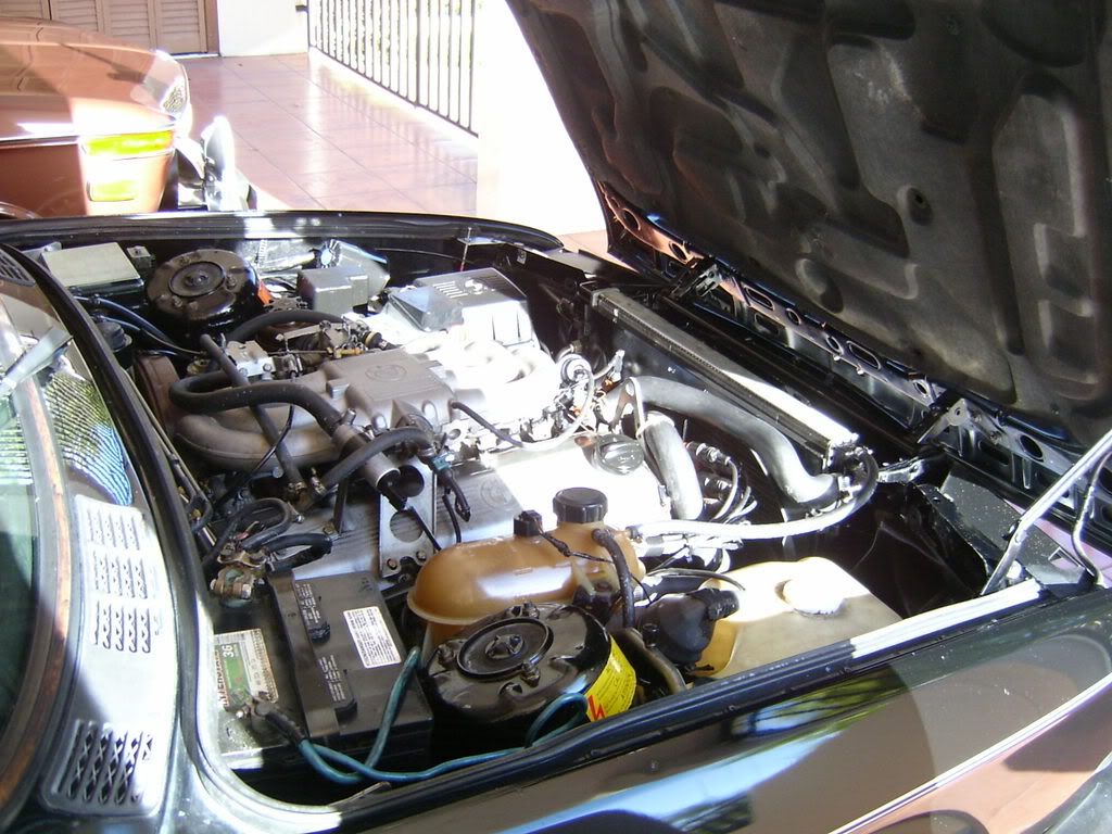 E30Engine1.jpg