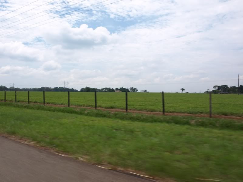 P3229451.jpg