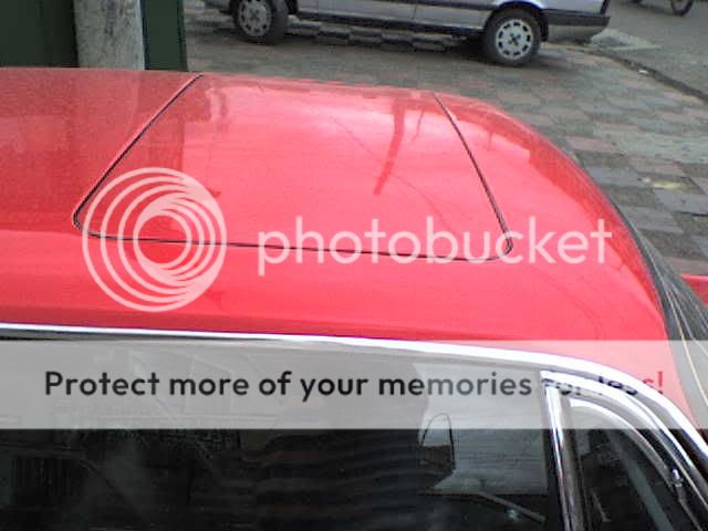 DSC02415.jpg