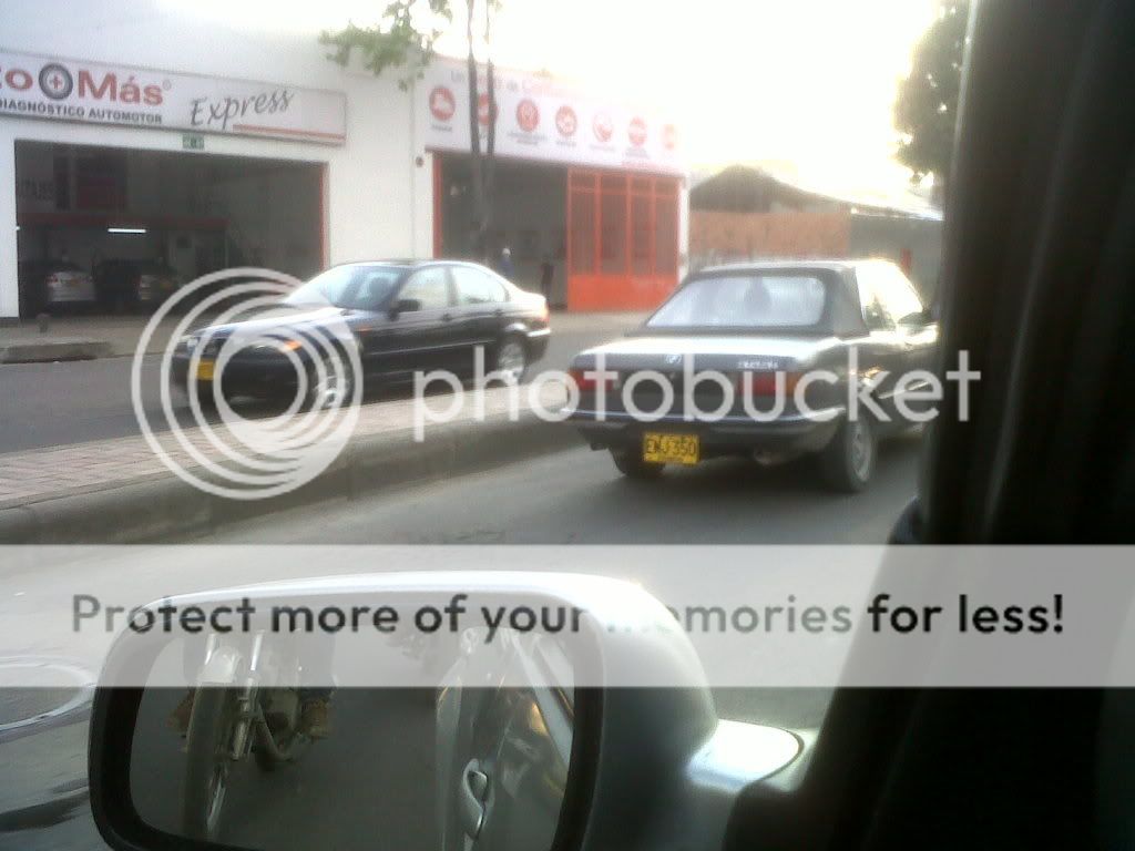 IMG01483-20120217-1700.jpg
