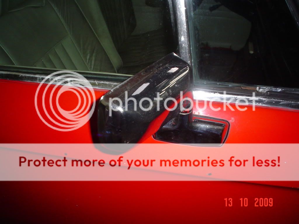 DSC06624.jpg