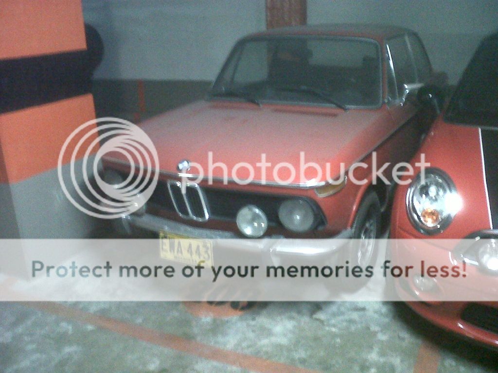 IMG01434-20121015-1813.jpg