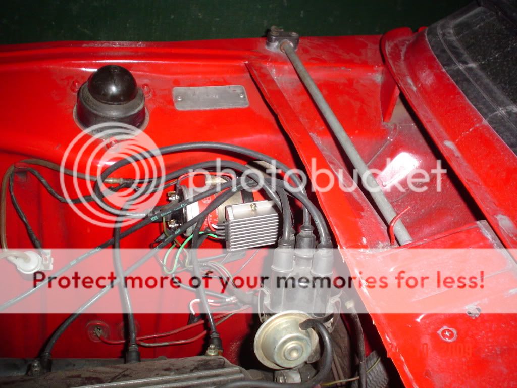 DSC06645.jpg