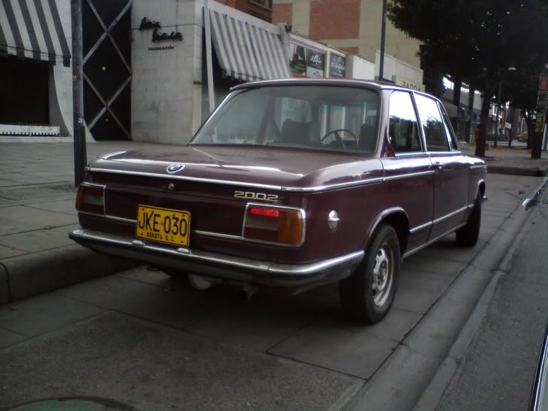 DSC00519.jpg